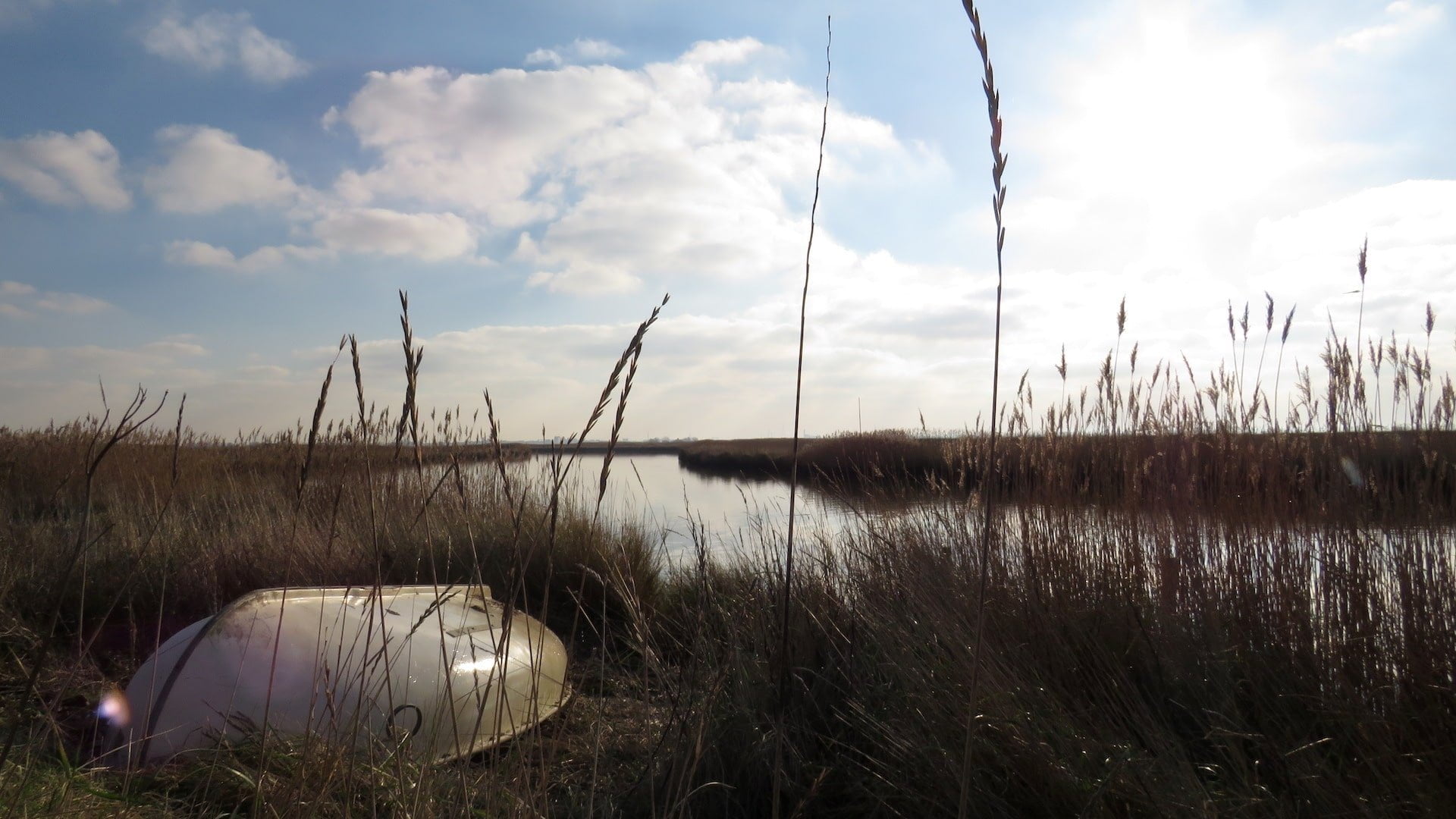 Things To Do in Norfolk