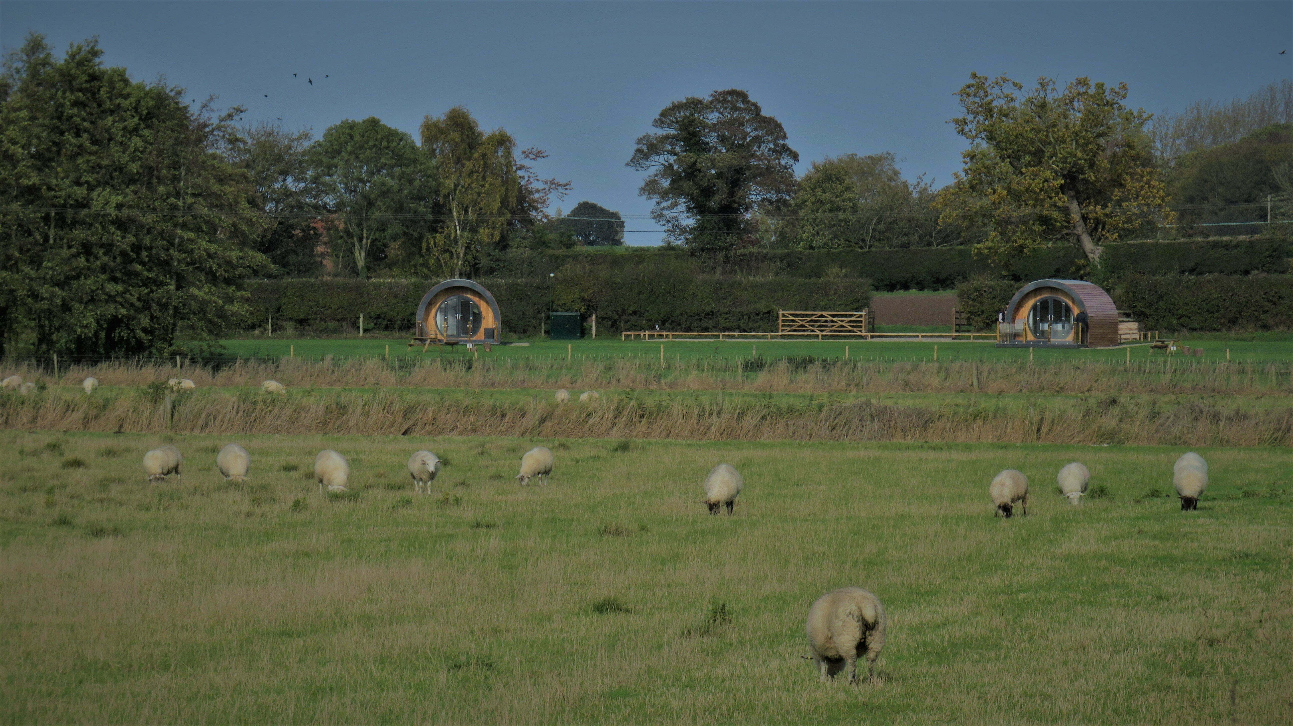 About Millview Meadow